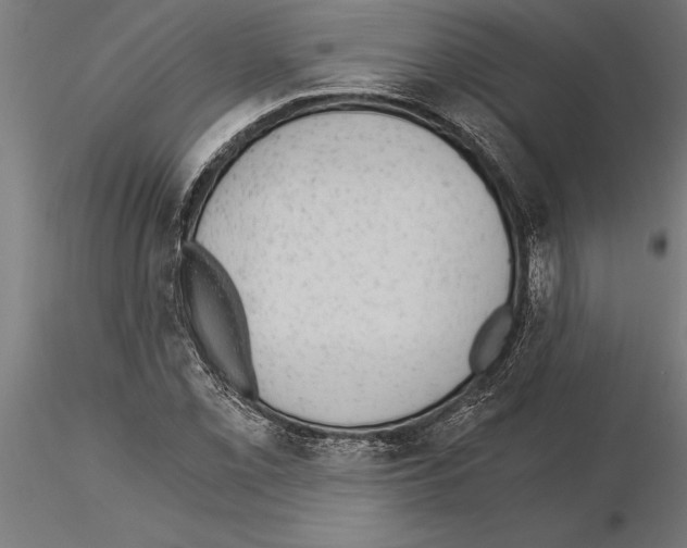 X0000115261069200912111135