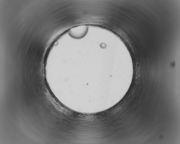 X0000115261072200912111135