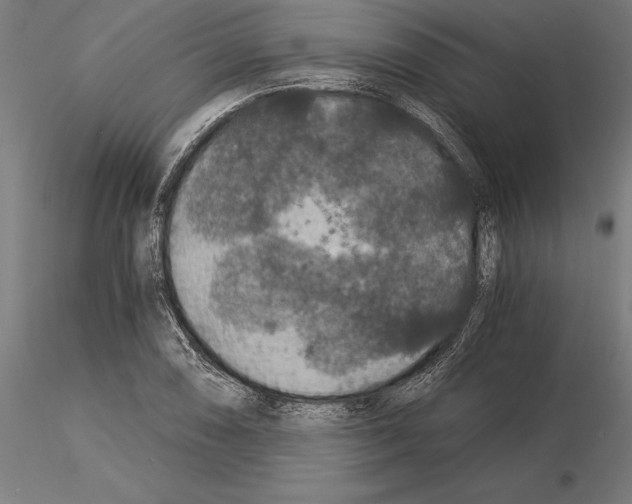 X0000115261074200912111135