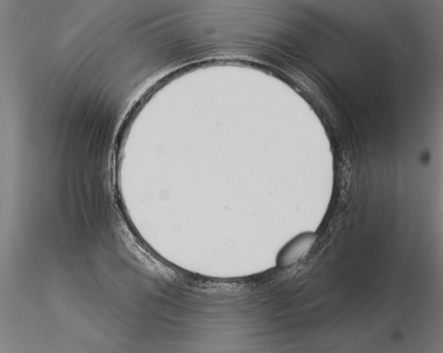 X0000115261076200912111135