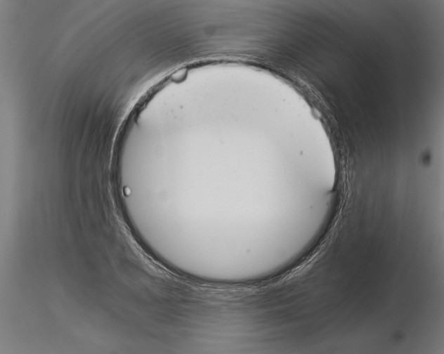 X0000115261077200912111135