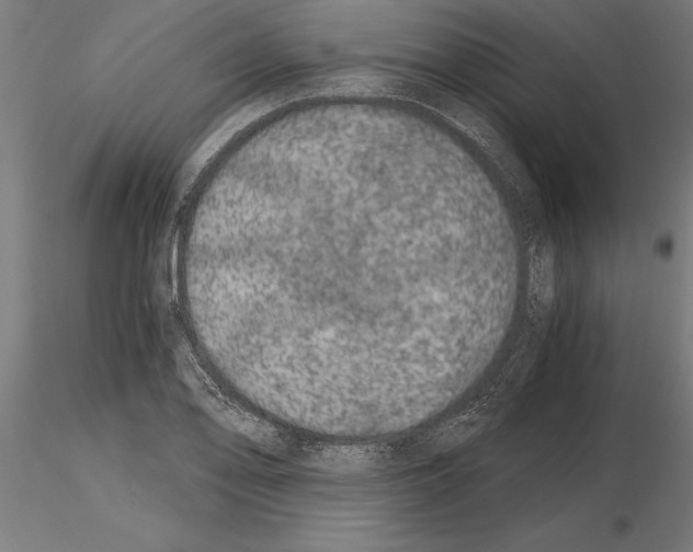 X0000115261078200912111135