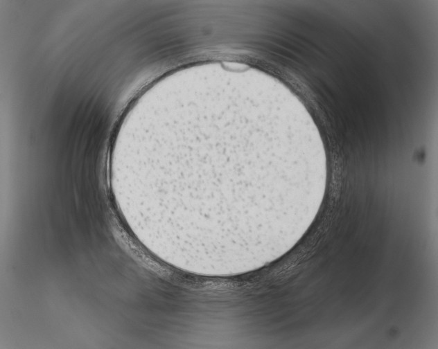 X0000115261080200912111135