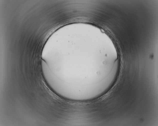 X0000115261081200912111135