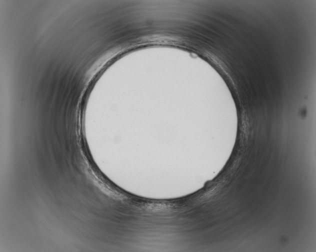 X0000115261082200912111135