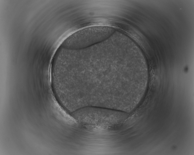 X0000115261084200912111135