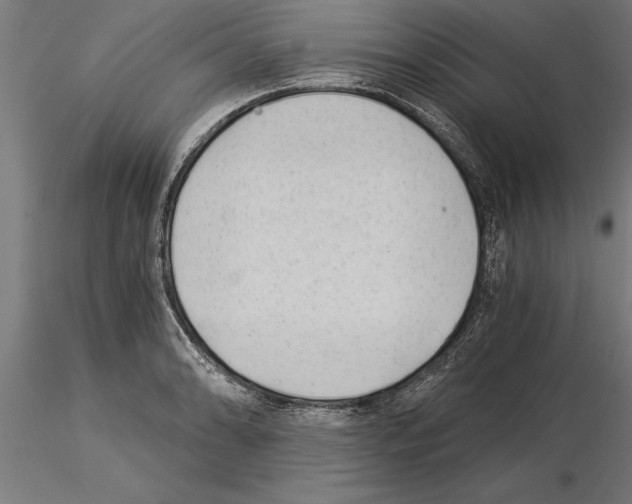 X0000115261086200912111135