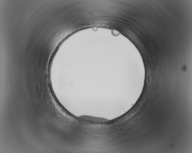 X0000115261087200912111135