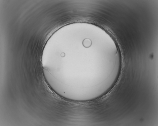 X0000115261089200912111135