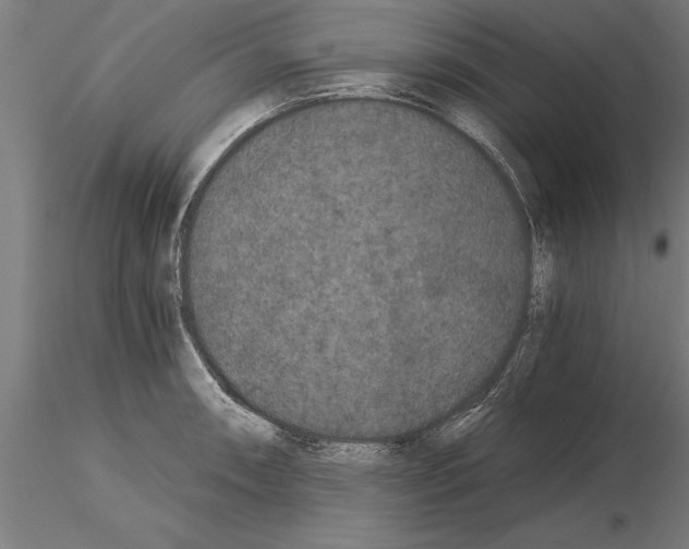 X0000115261090200912111135