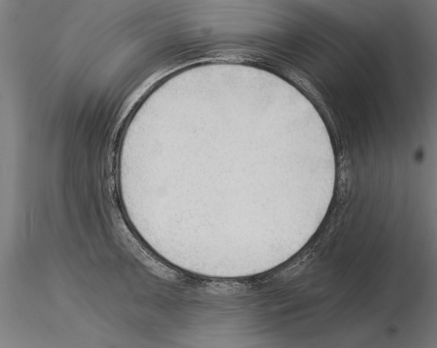 X0000115261091200912111135