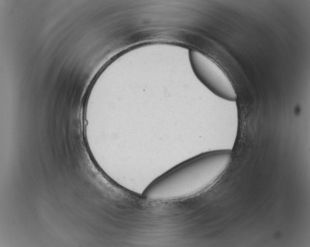 X0000115261092200912111135