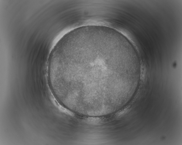 X0000115261094200912111134