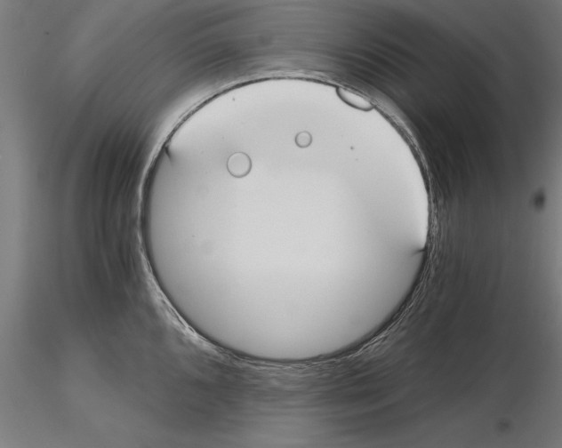 X0000115261096200912111134