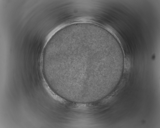 X0000115261098200912111134