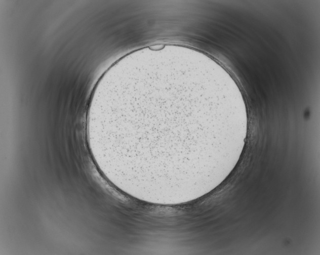 X0000115261100200912111134