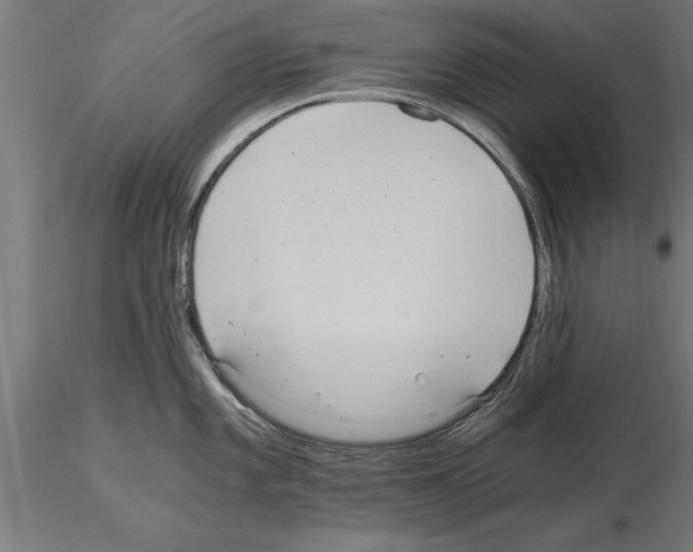 X0000115261101200912111134