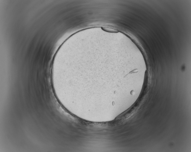 X0000115261102200912111134