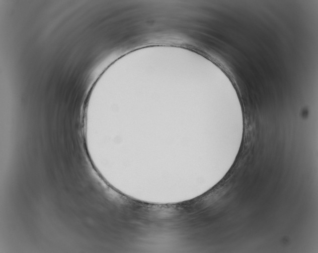 X0000115261103200912111134