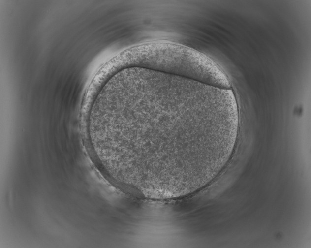 X0000115261104200912111134