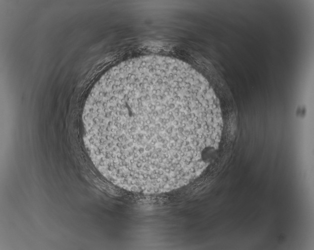 X0000115261105200912111134