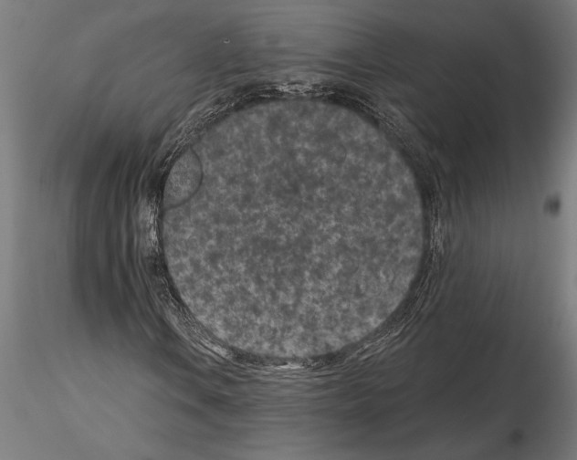 X0000115261106200912111134