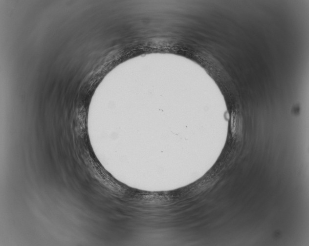 X0000115261107200912111134