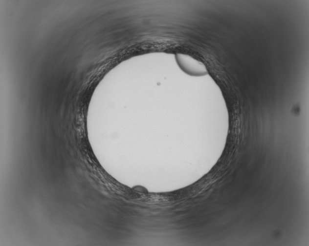 X0000115261109200912111134