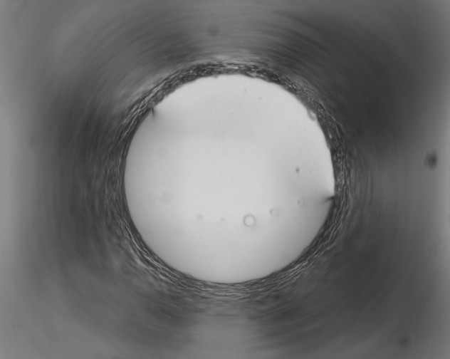 X0000115261110200912111134