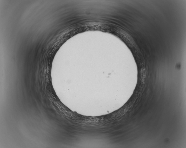 X0000115261111200912111134