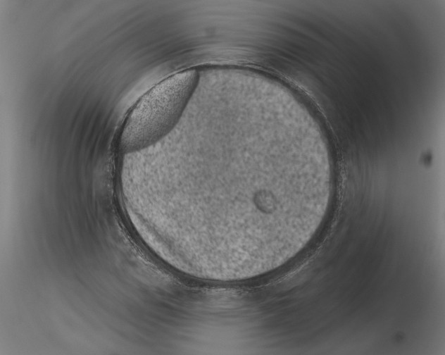 X0000115261114200912111134