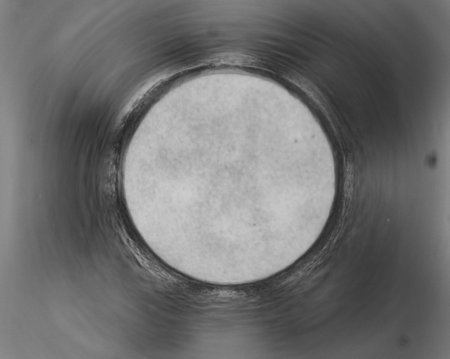 X0000115261115200912111134