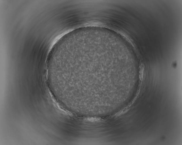 X0000115261117200912111134