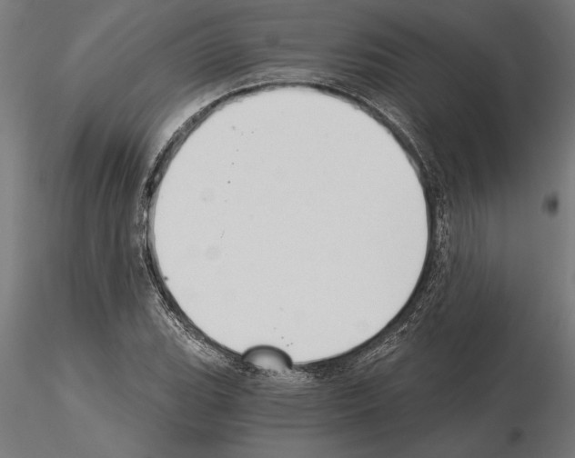 X0000115261119200912111134