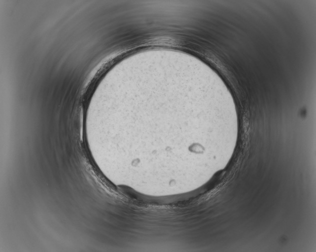 X0000115261123200912111134