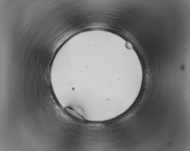 X0000115261129200912111134