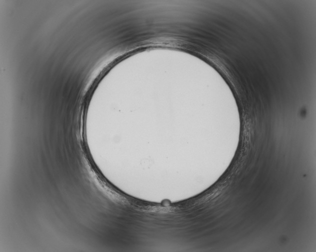 X0000115261131200912111134