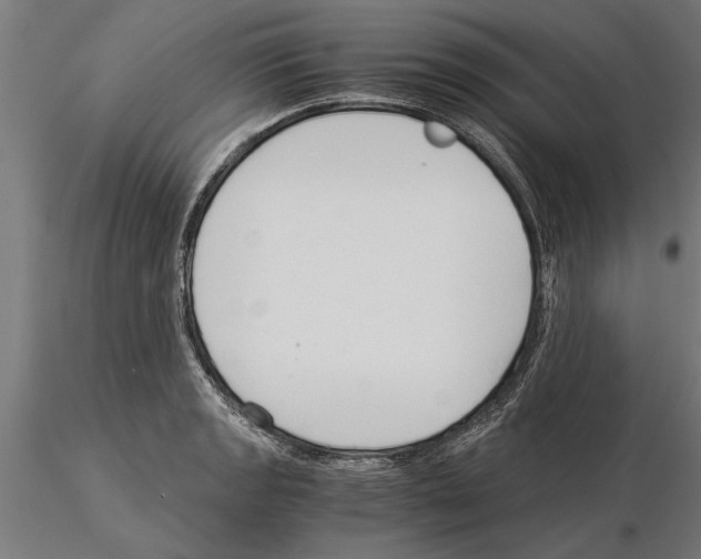 X0000115261133200912111134