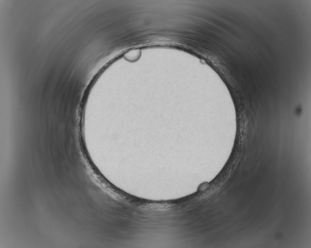 X0000115261134200912111134