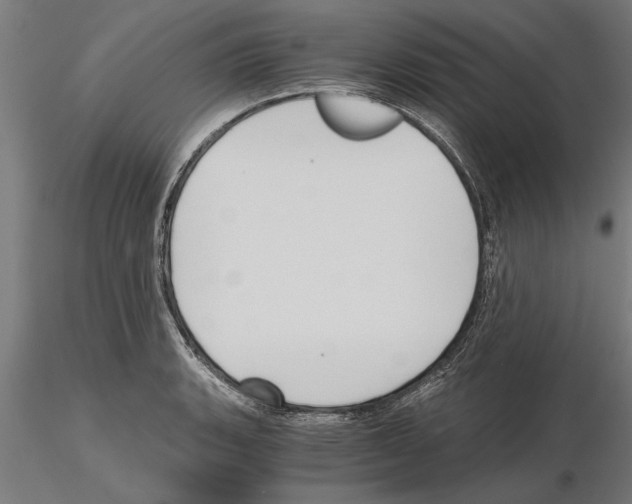 X0000115261135200912111134