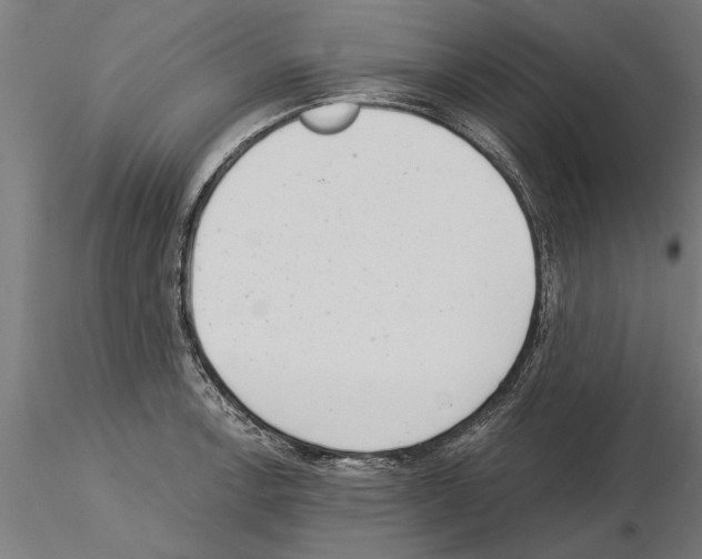 X0000115261138200912111134