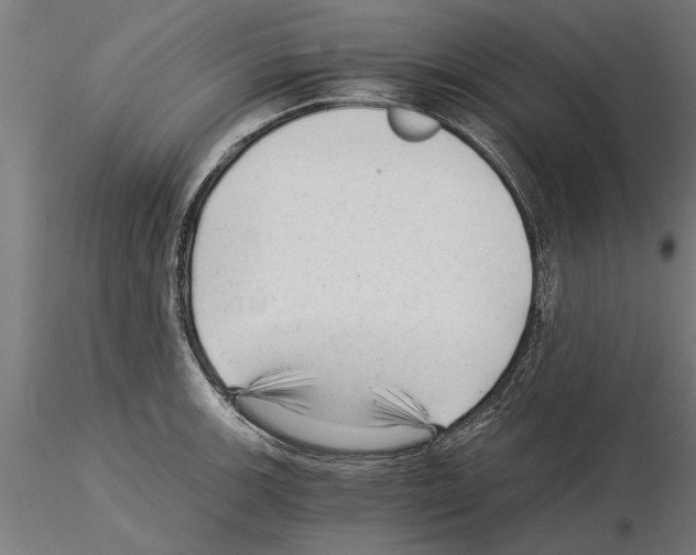 X0000115261139200912111134