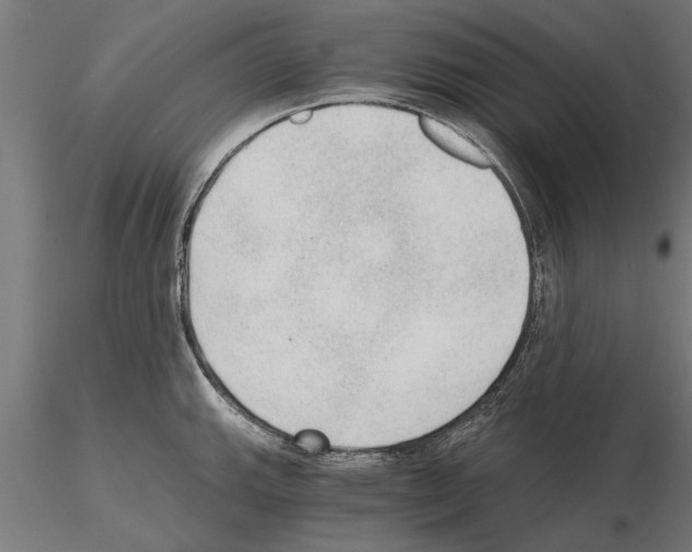 X0000115261143200912111134