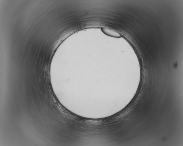 X0000115261145200912111134