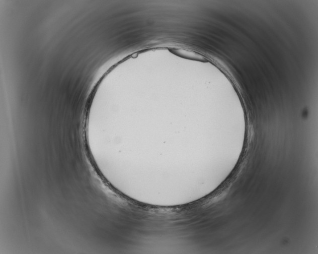 X0000115261149200912111134