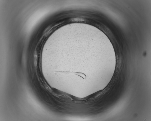 X0000115261151200912111134