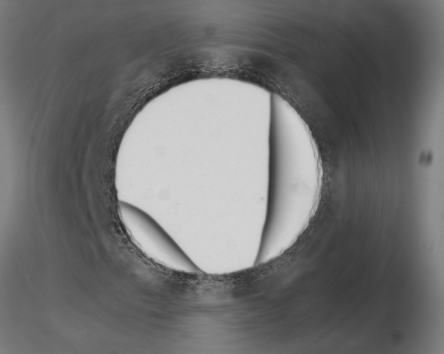 X0000115261153200912111134