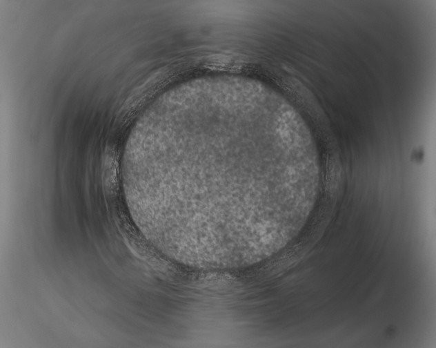 X0000115261154200912111134