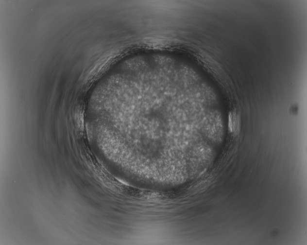 X0000115261155200912111134