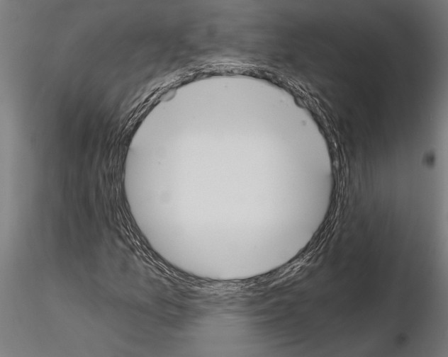 X0000115261157200912111134